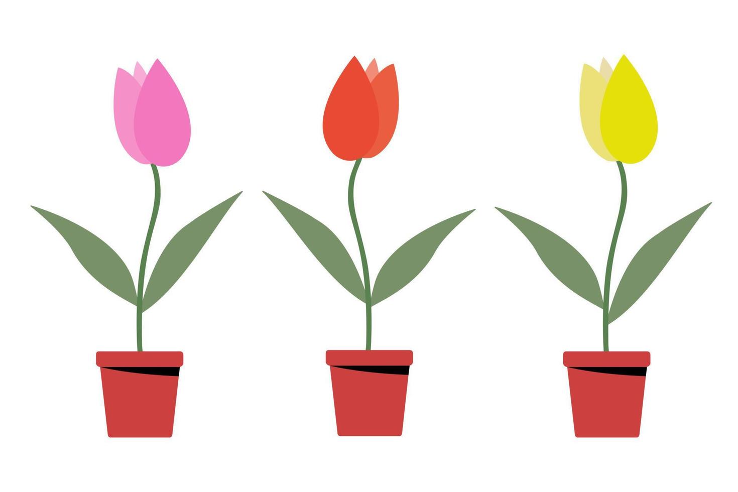 tulipanes dibujados a mano vector