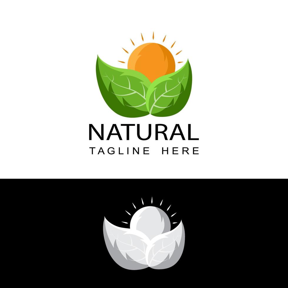 natural leaf and sun logo template design vector