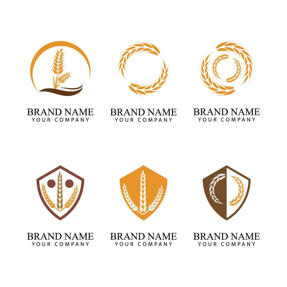 Agriculture wheat Logo Template vector icon design