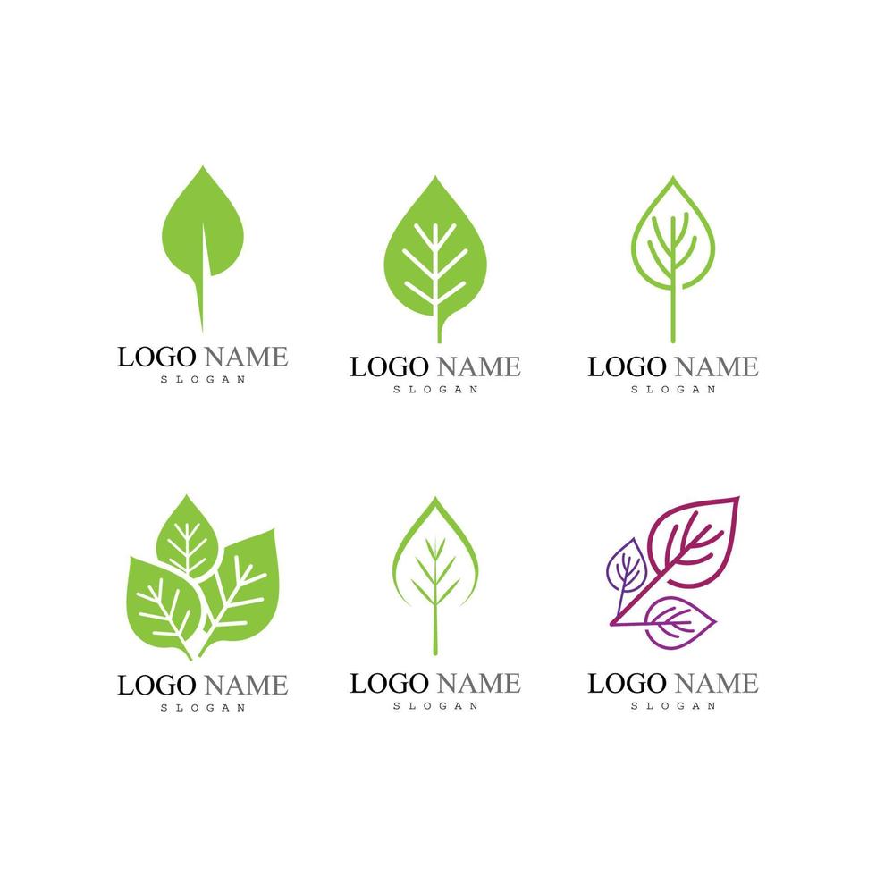 Leaf icon Vector Illustration design Logo template