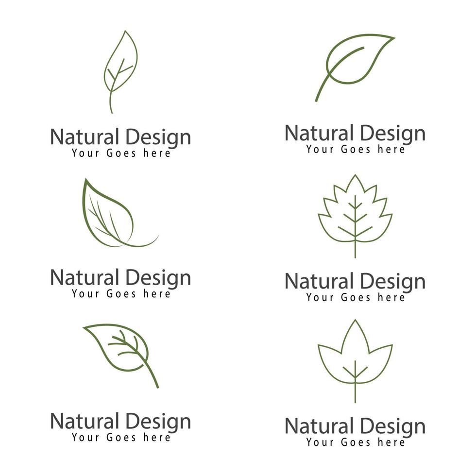 Leaf icon Vector Illustration design Logo template