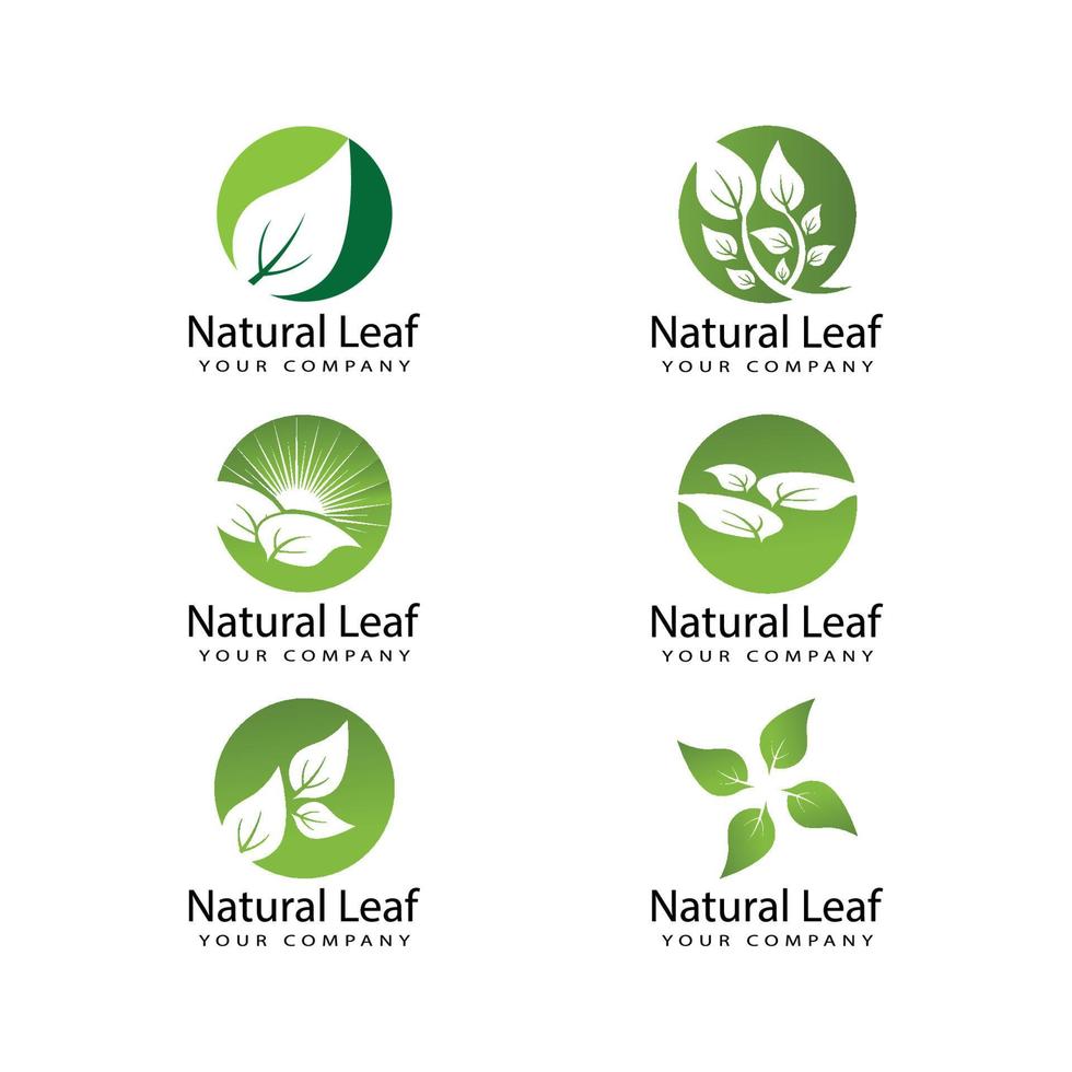 Leaf icon Vector Illustration design Logo template