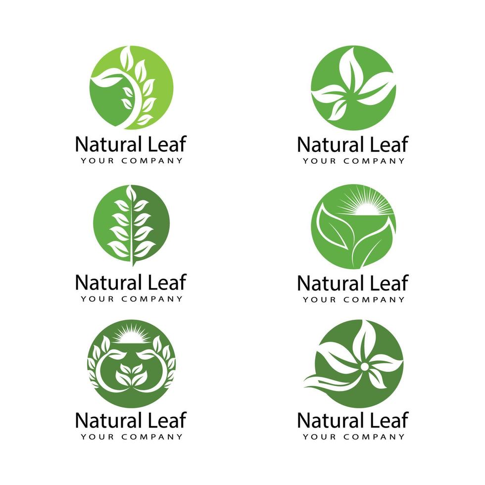 Leaf icon Vector Illustration design Logo template