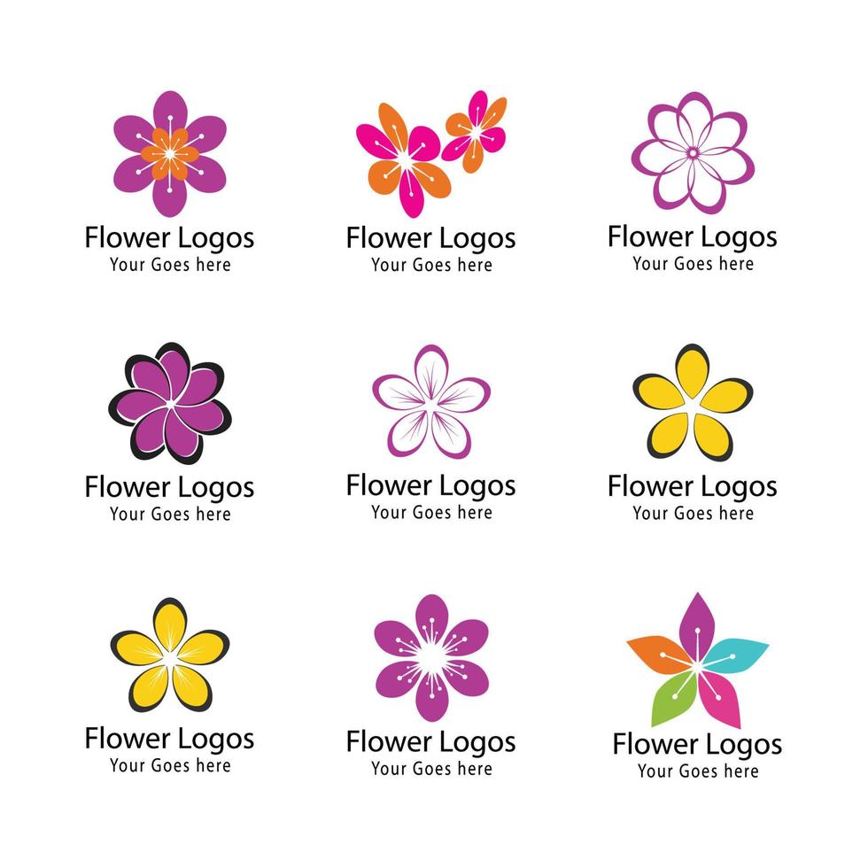 Plantilla de ilustración de diseño de flores de icono de plumeria de belleza vector