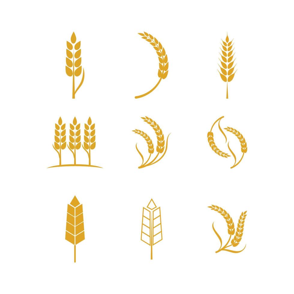 Agriculture wheat Logo Template vector icon design