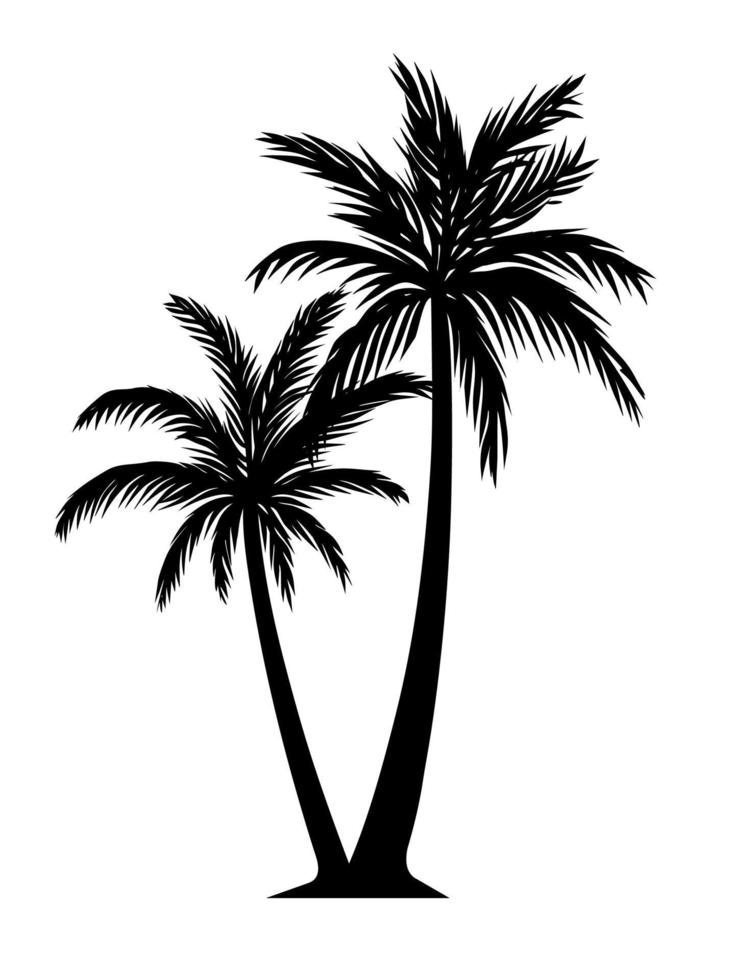 Ilustración de detalle de silueta de palmera en blanco y negro vector