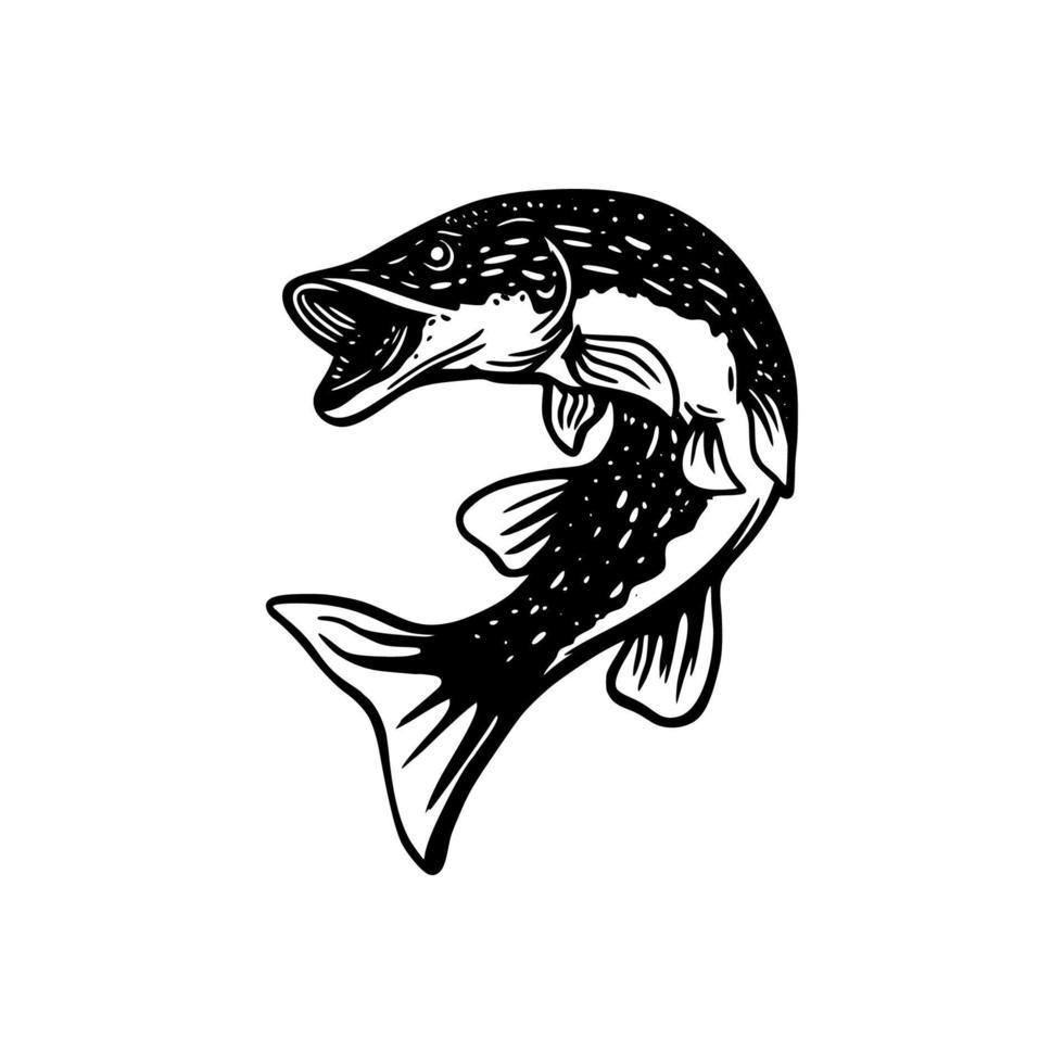 northern pike black and white illustration in black and white vector