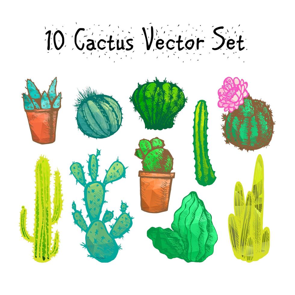 Hand Drawn Isolated Cactuses Set vector