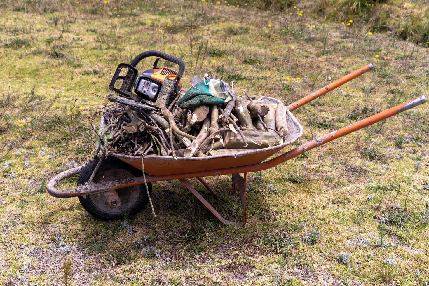 A wheelbarrow full of firewood photo