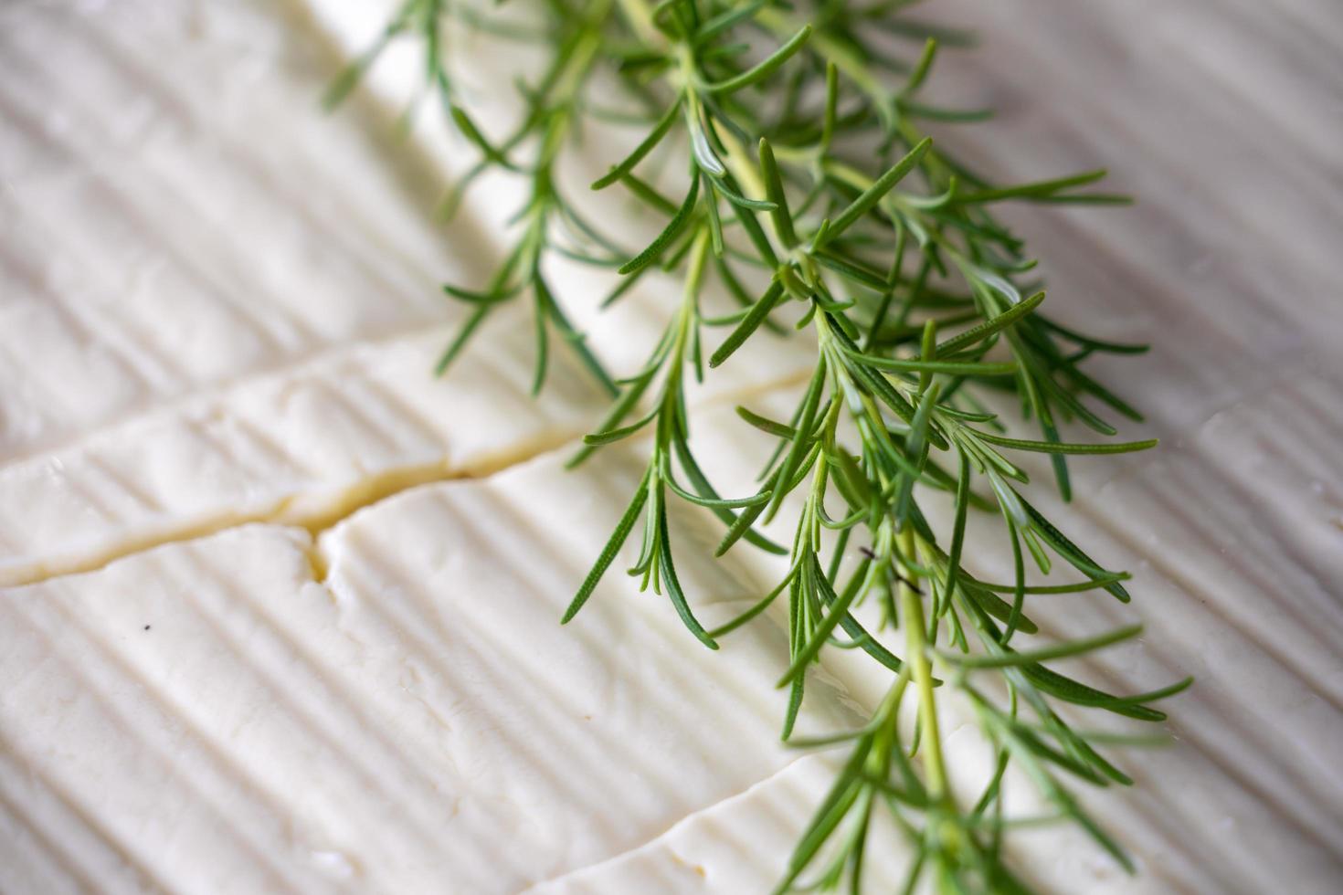 Huge cheese and fresh herbs photo