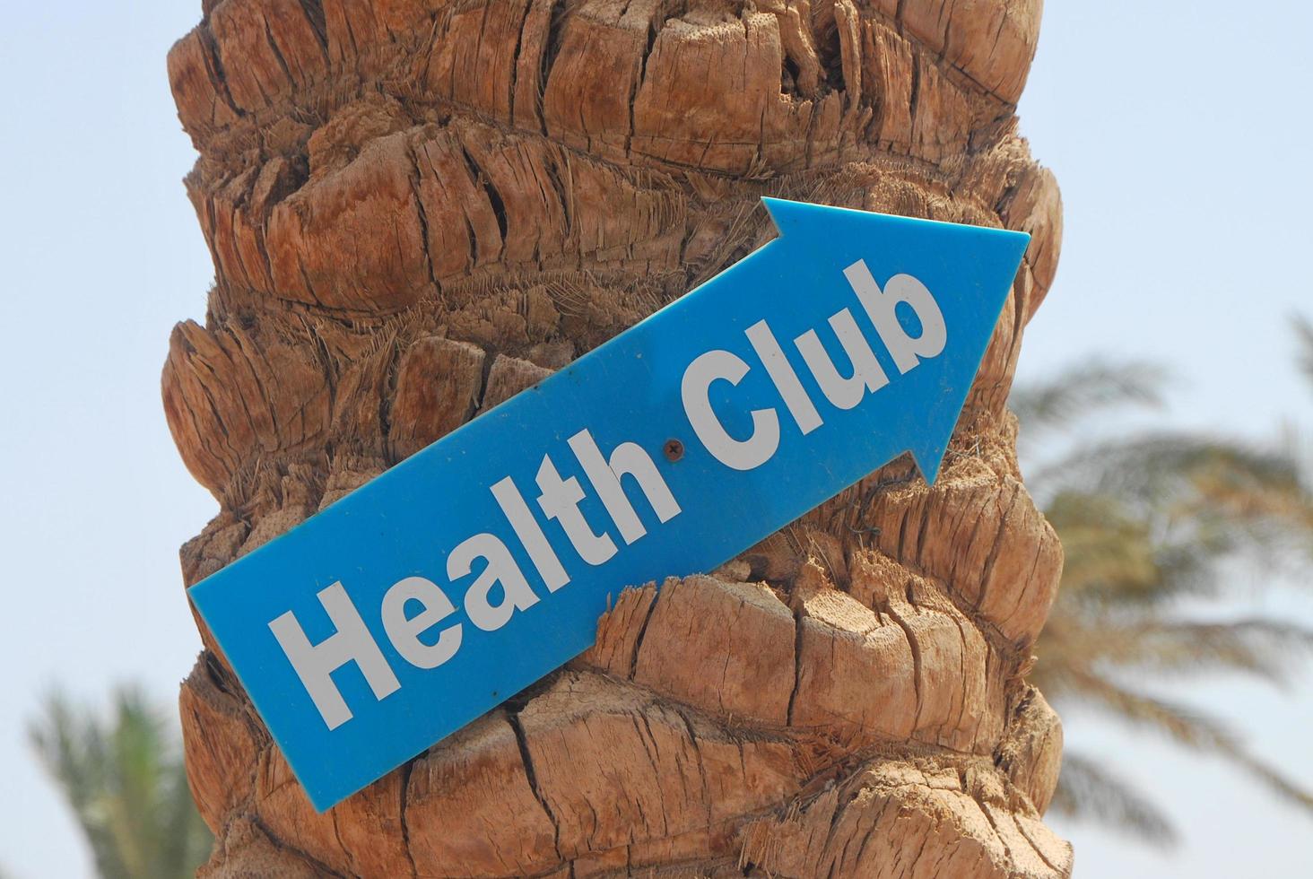 health club on a beach photo