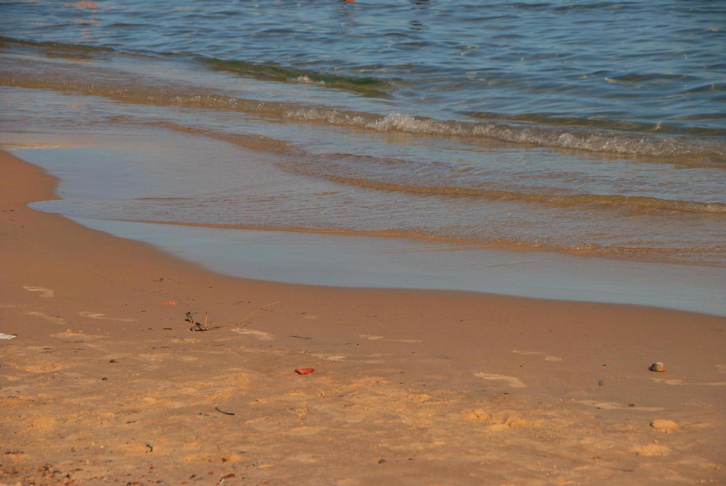 sandy beach at sea photo