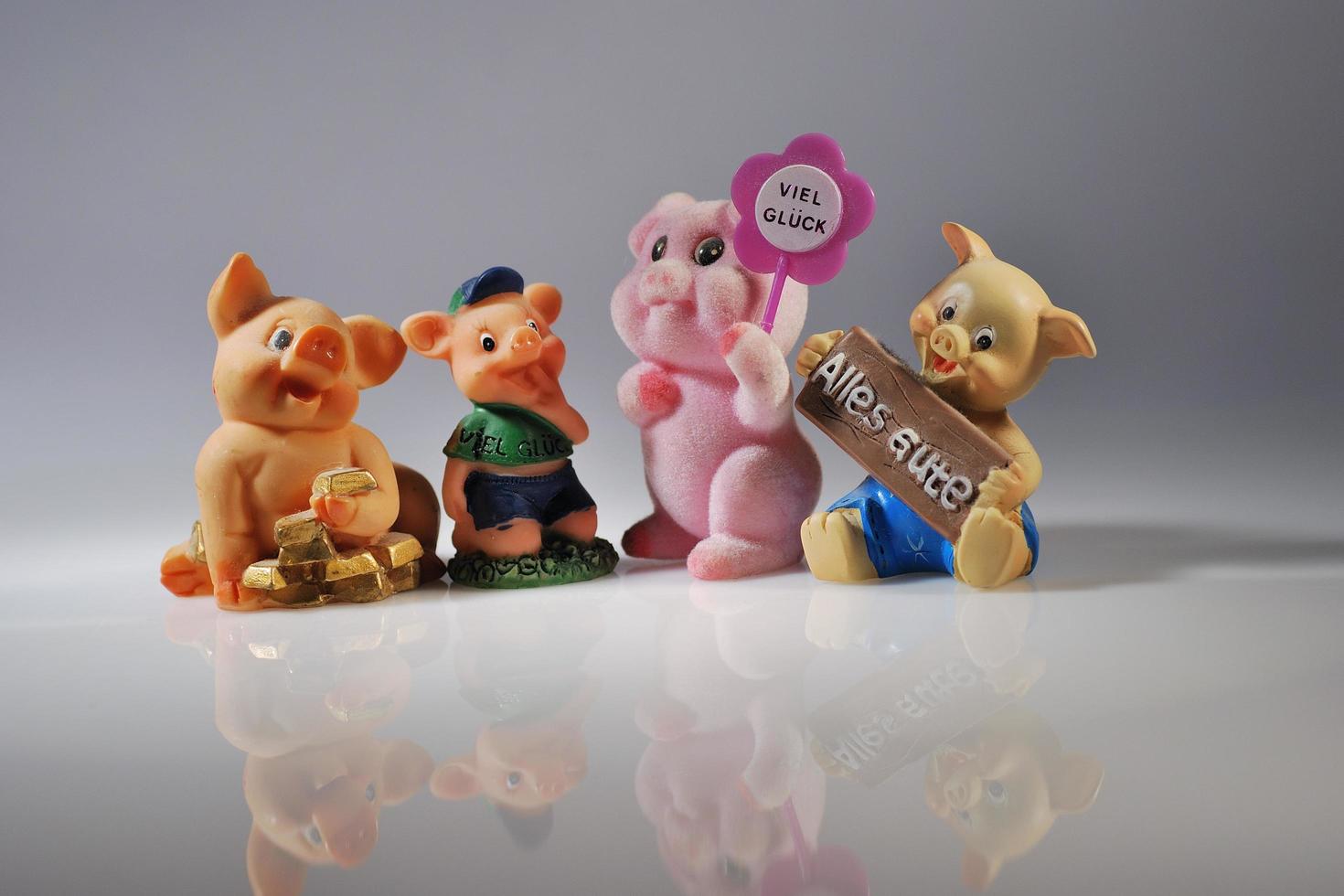 happy new year pig photo