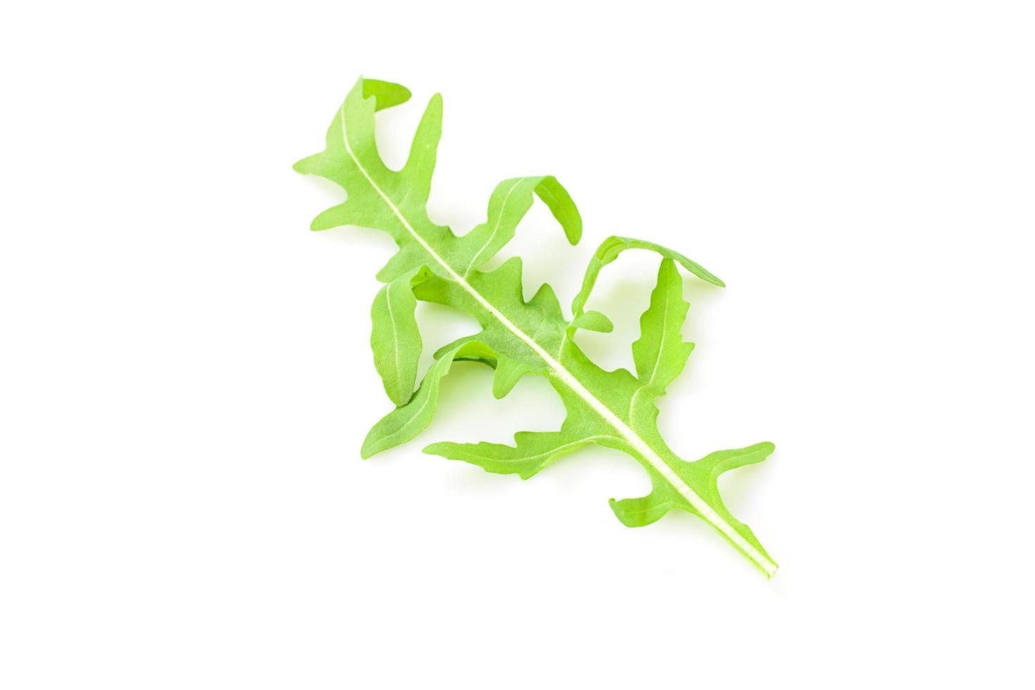 Green Fresh Arugula on White Background photo