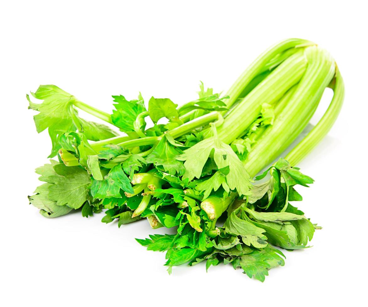 Fresh Juicy Celery on White Background photo