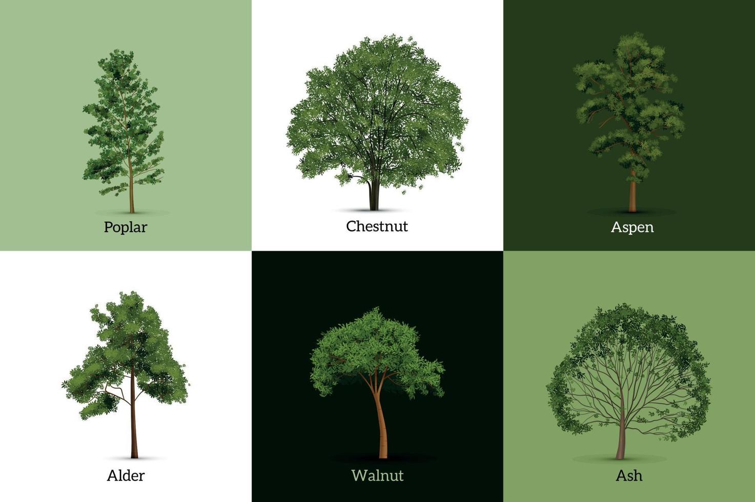 Realistic Trees Design Concept vector