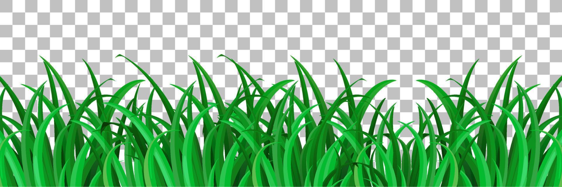 Grass and plants on grid background for decor vector