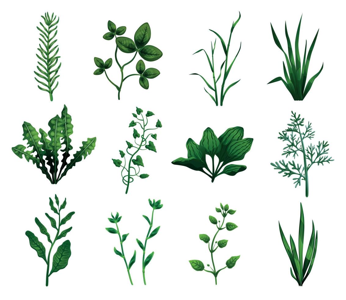 Green Grass Icons Set vector