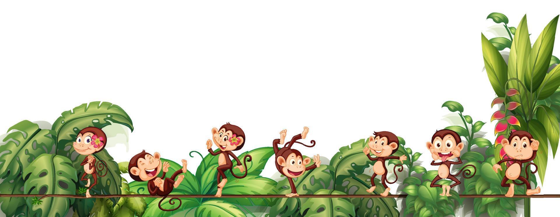 Diferentes personajes de dibujos animados de monos en la cuerda con hojas tropicales. vector