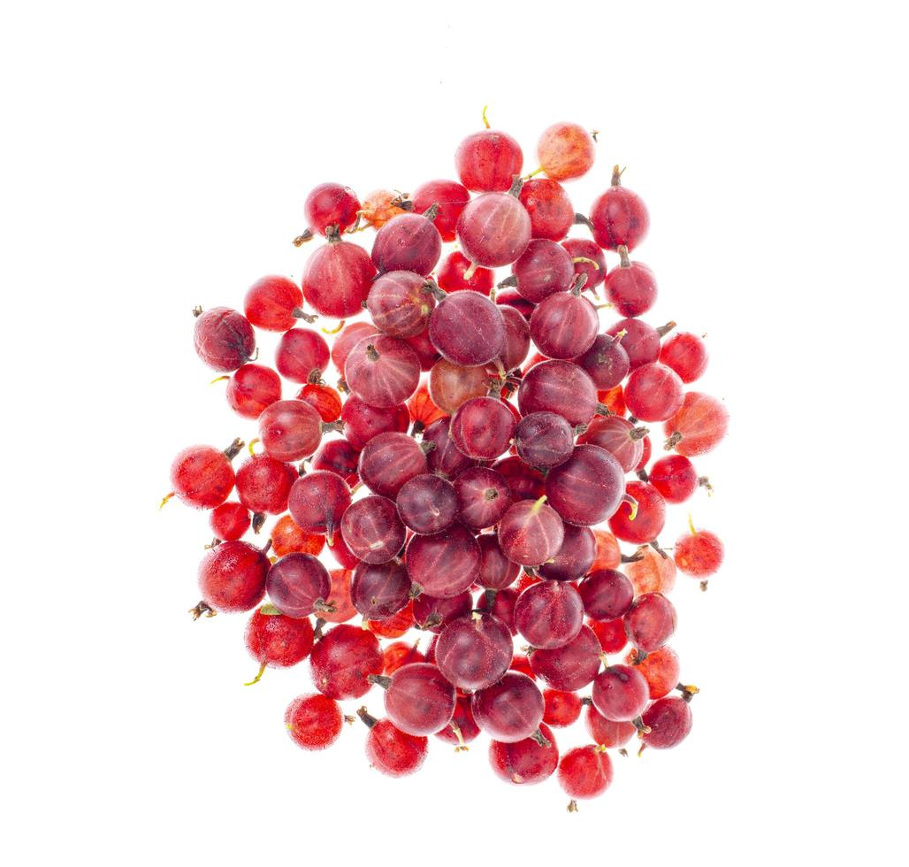 Heap of red gooseberry berries isolated on white background. photo