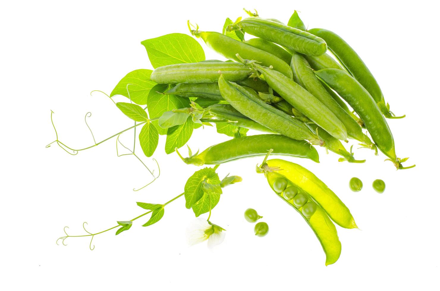 Pods and shoots of green peas isolated on white background. photo