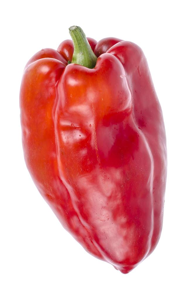 Fruit of large red sweet bell pepper on white background photo