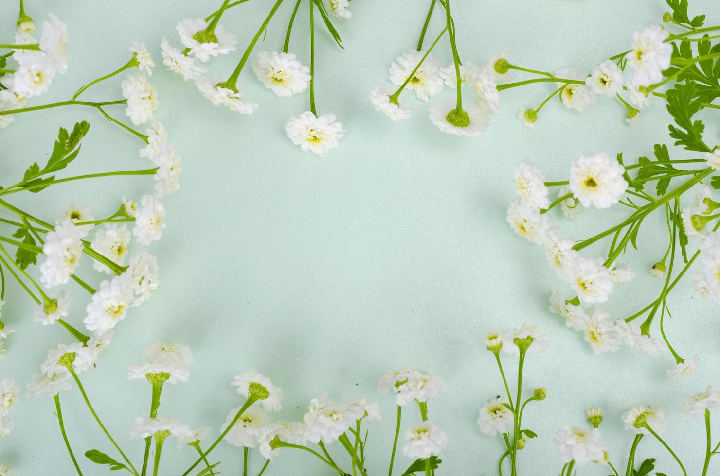 Bouquet of white small garden flowers on light green background. photo