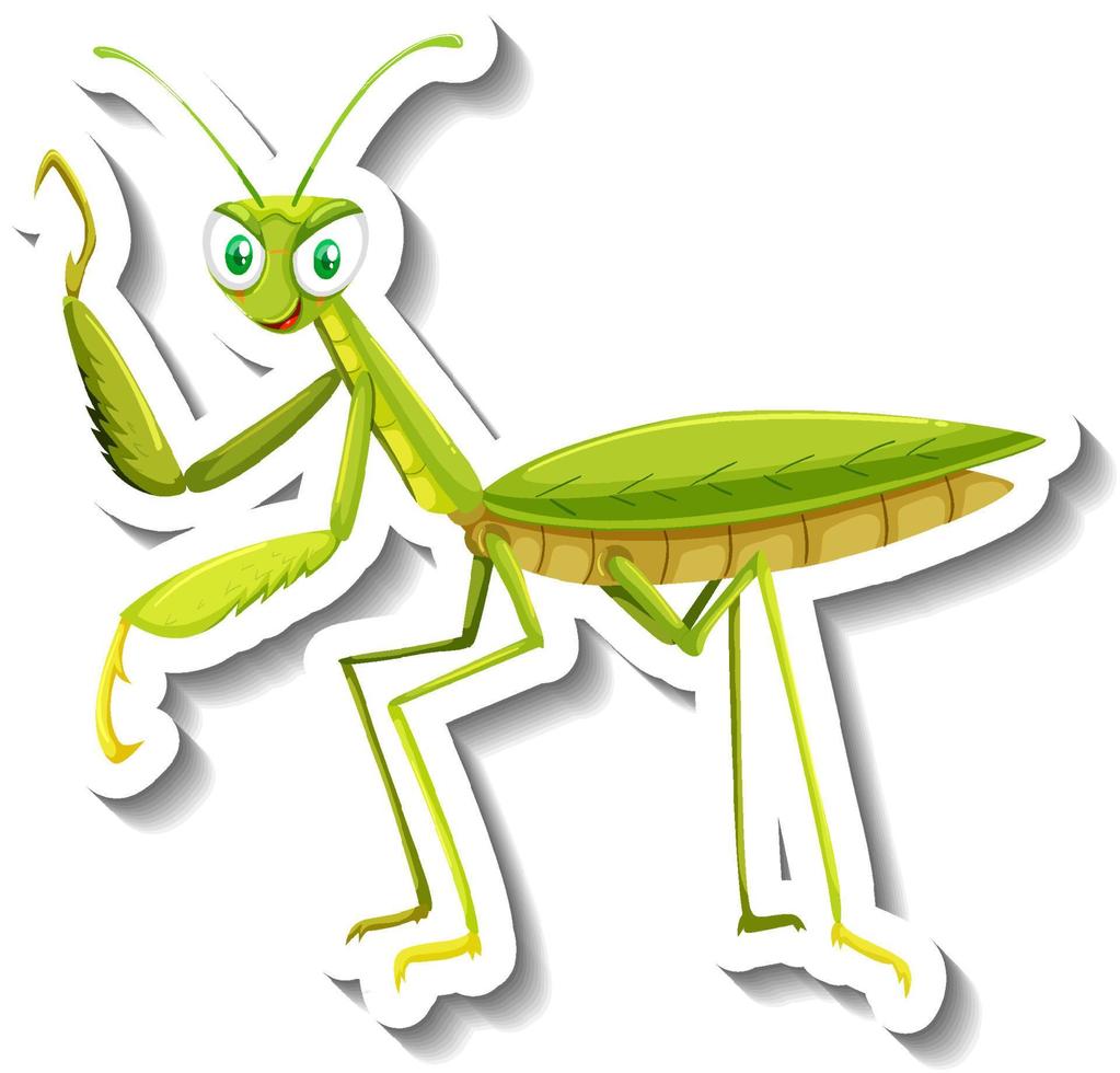 Grasshopper animal cartoon sticker vector