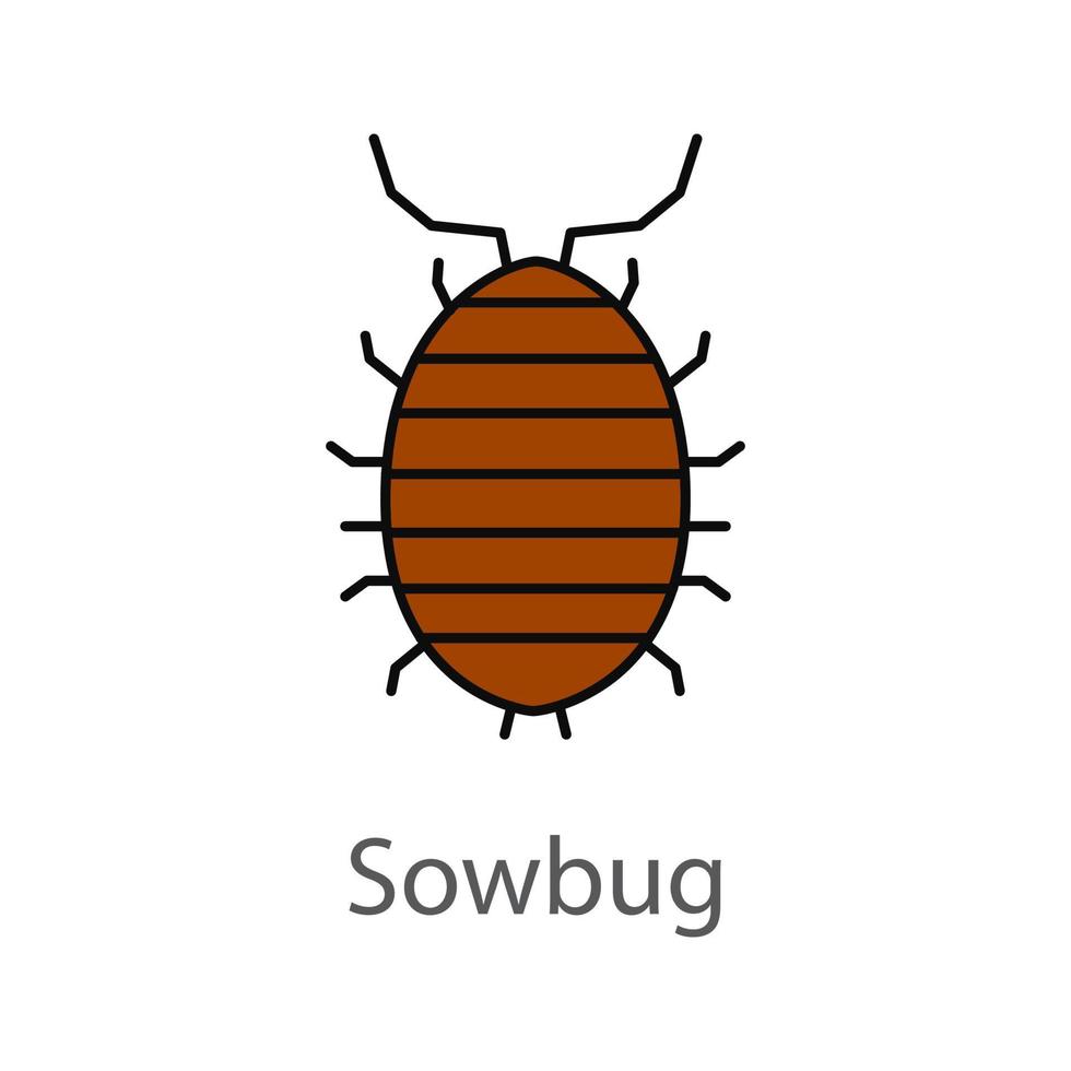 Woodlouse color icon. Roll up bug. Sowbug. Isolated vector illustration