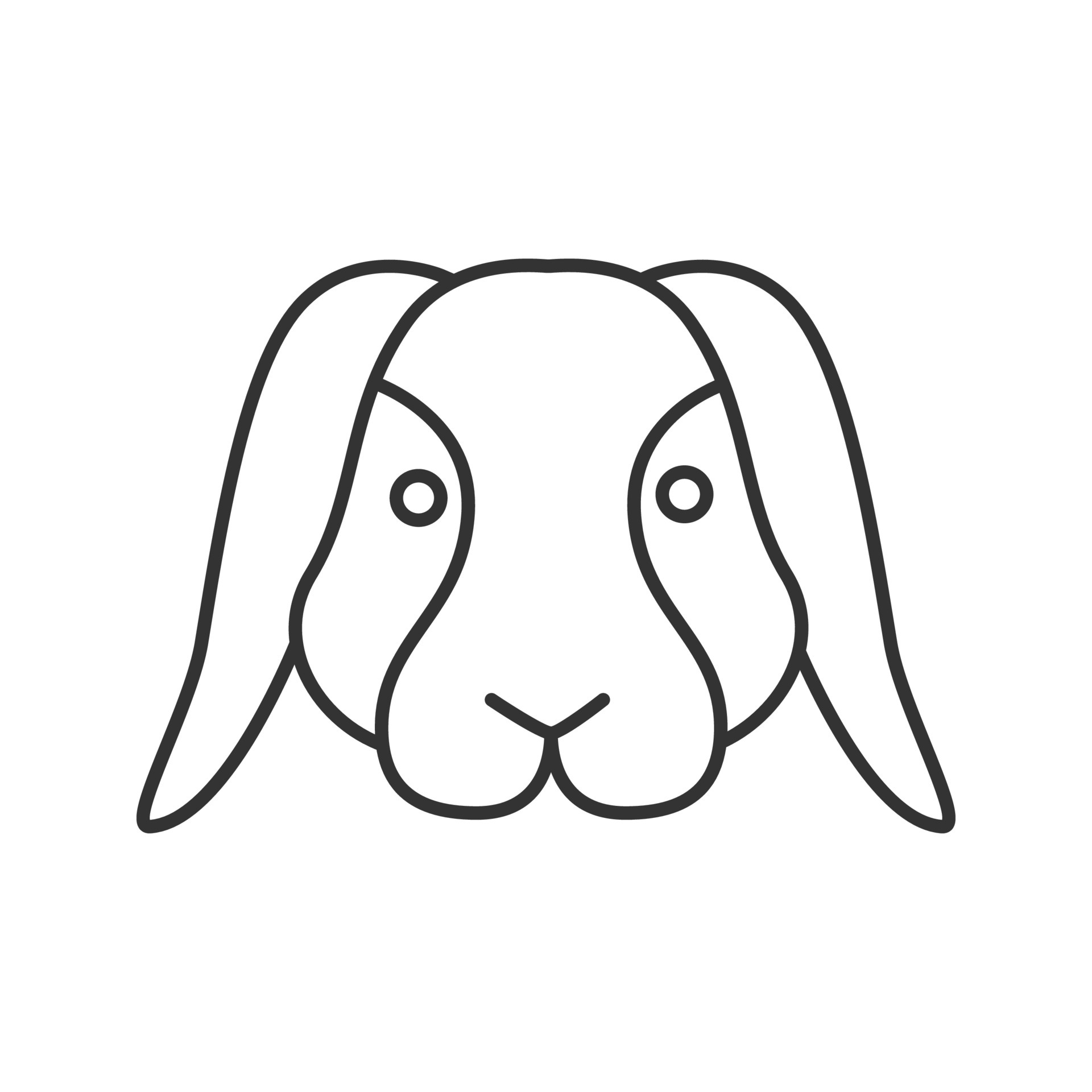 Dwarf rabbit linear icon. Thin line illustration. Bunny. Hare. Contour