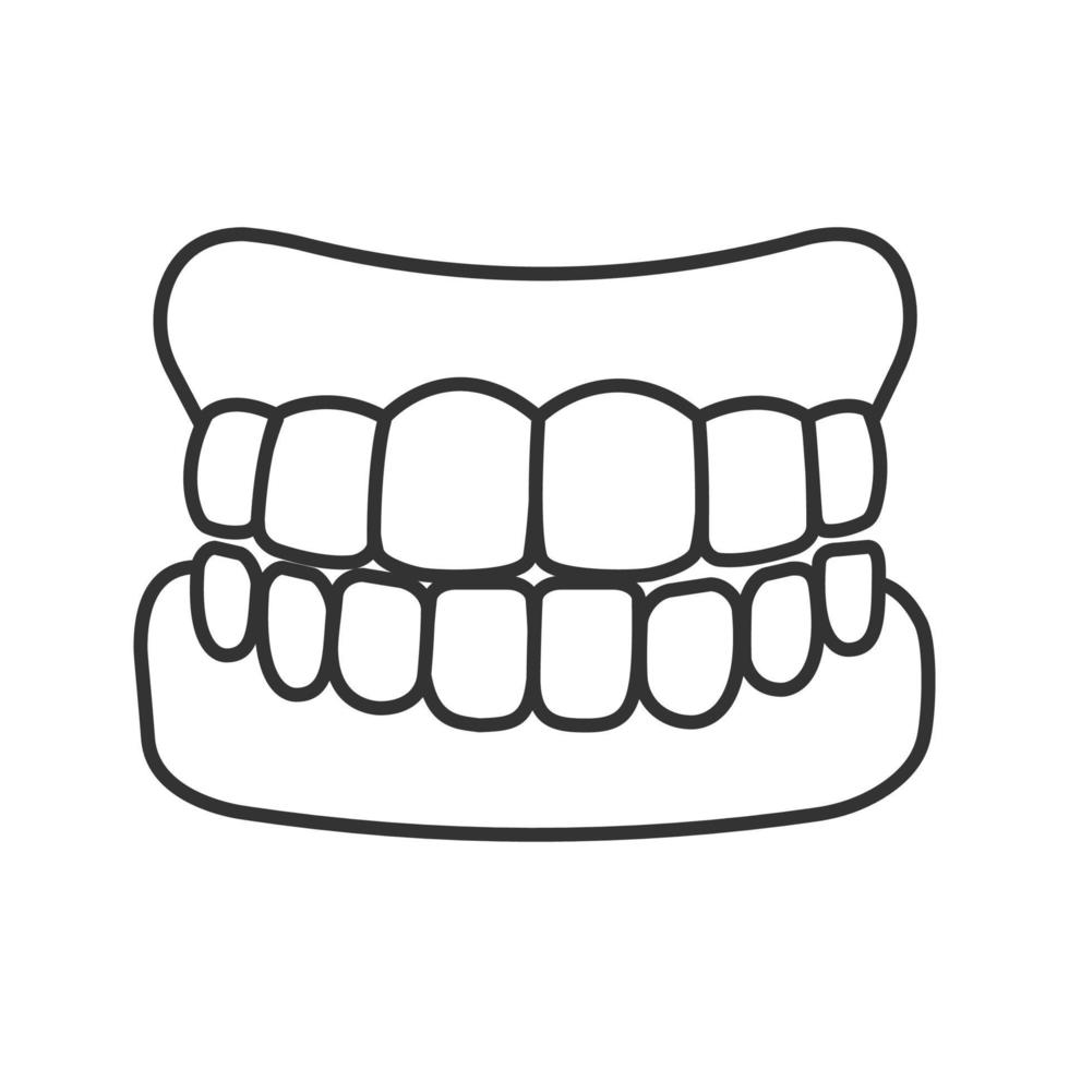 Dentures linear icon. False teeth. Thin line illustration. Human jaw with teeth model. Contour symbol. Vector isolated drawing
