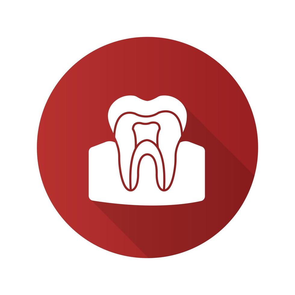 Tooth anatomical structure flat design long shadow glyph icon. Tooth root and crown. Dentin, enamel, pulp. Vector silhouette illustration