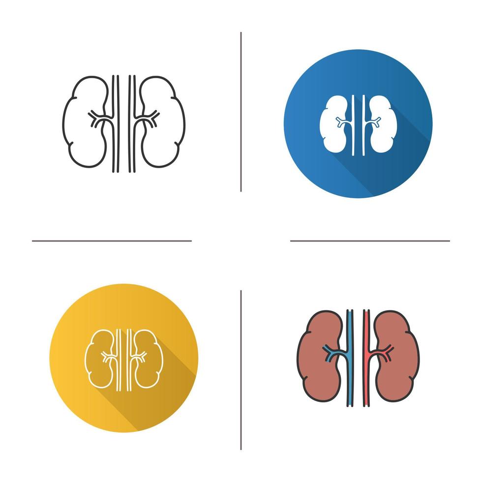 Human kidneys icon. Urinary system. Flat design, linear and color styles. Isolated vector illustrations