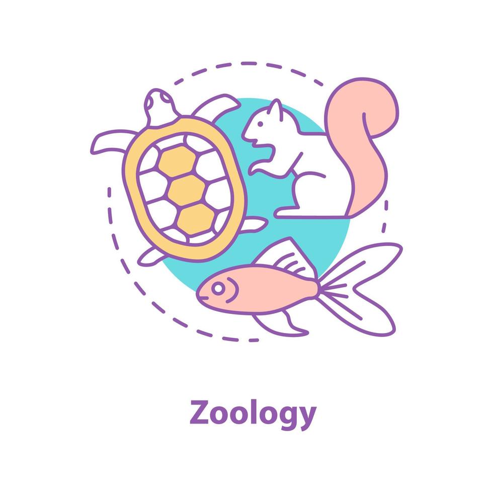 Zoology concept icon. Science idea thin line illustration. Animal biology. Turtle, goldfish, squirrel. Vector isolated outline drawing