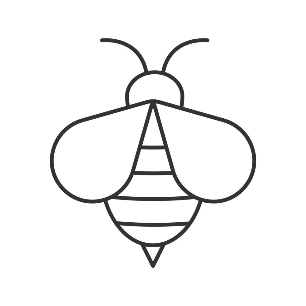 Honey bee linear icon. Wasp thin line illustration. Apiary contour symbol. Vector isolated outline drawing