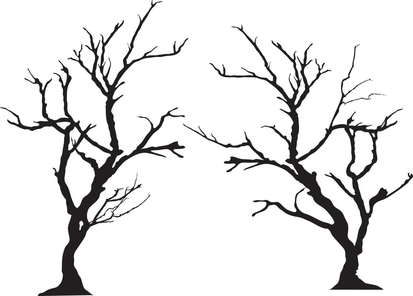 silhouette of tree without leaves vector