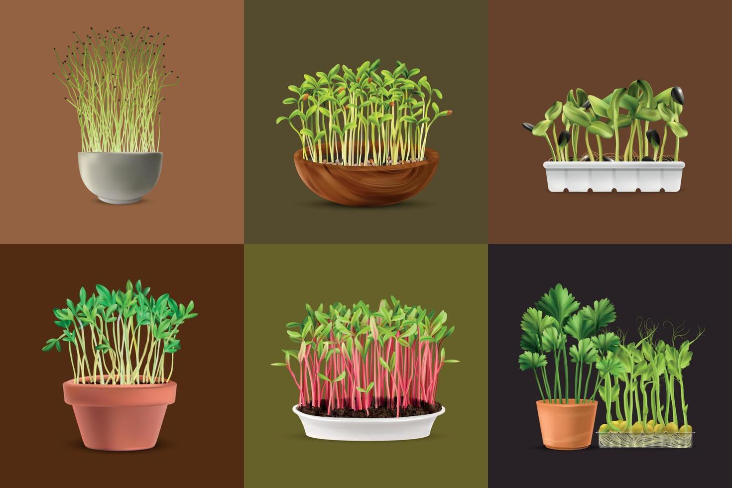 Healthy Nutrition Microgreens Square Set vector