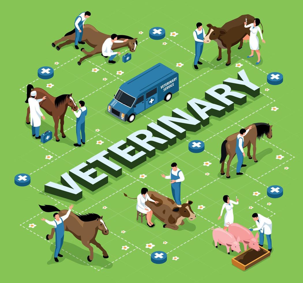 diagrama de flujo isométrico veterinario de la granja vector