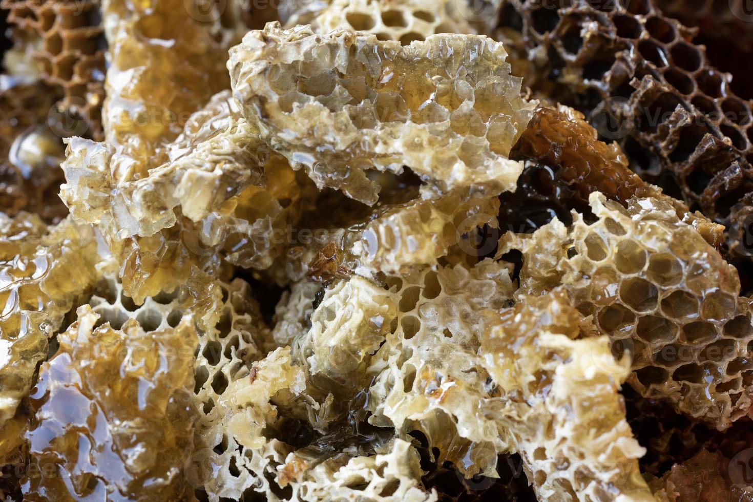 homeny comb being harvested photo