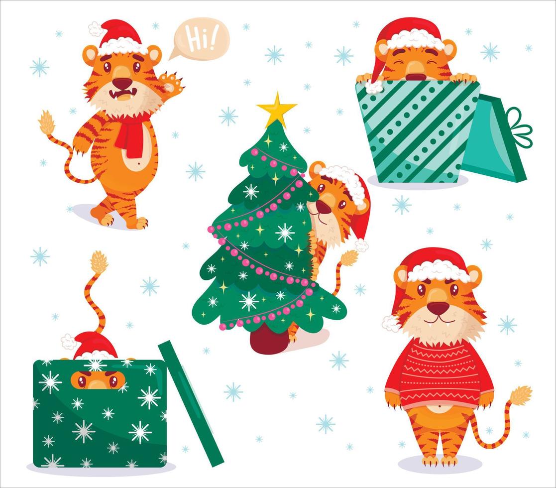 Cute tiger. Colored chinese tigers, symbol of 2022 new year, vector flat cartoon set. Animal 2022, Asian Predator, Jungle Beast. santa hat, christmas tree, a garland, sleeps, rejoices, happy new year