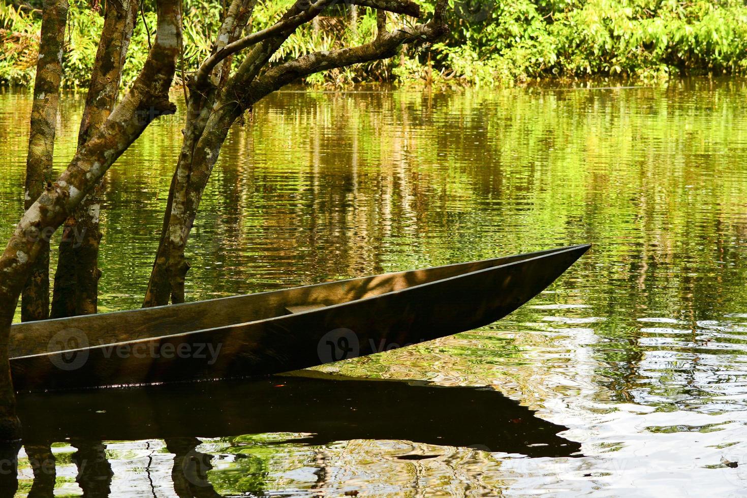 Canoes, Yasuni, Amazon, Ecuador photo