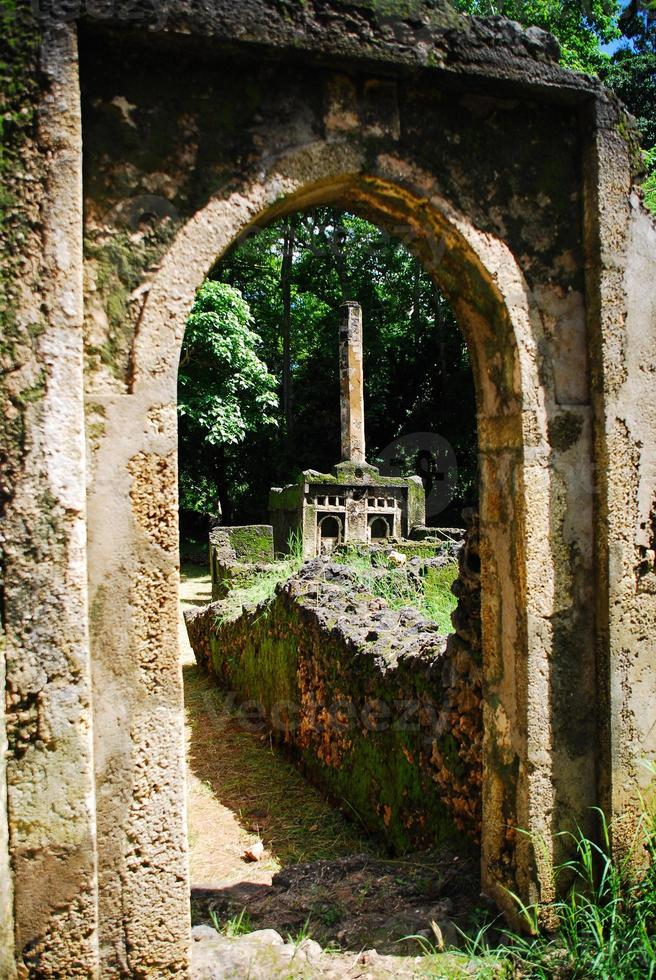 Gedi Ruins, Kenya photo