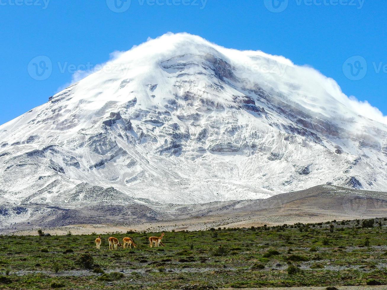 Chimborazo Volcano, Ecuador photo