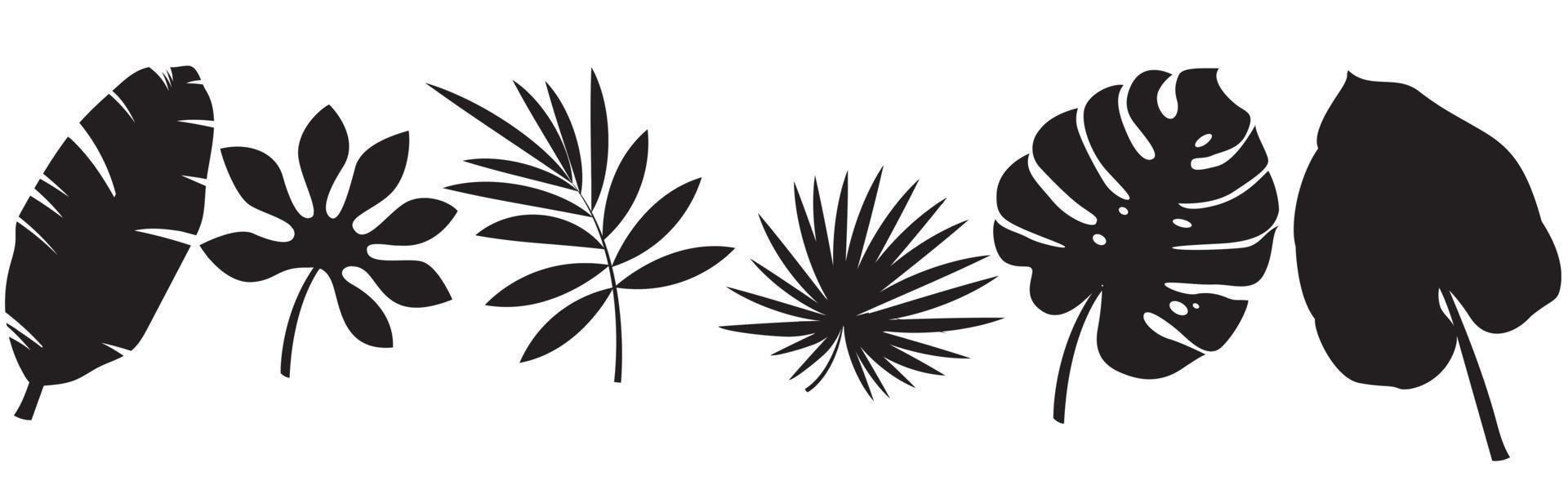 Set of black silhouettes of tropical leaves palms, trees. Vector