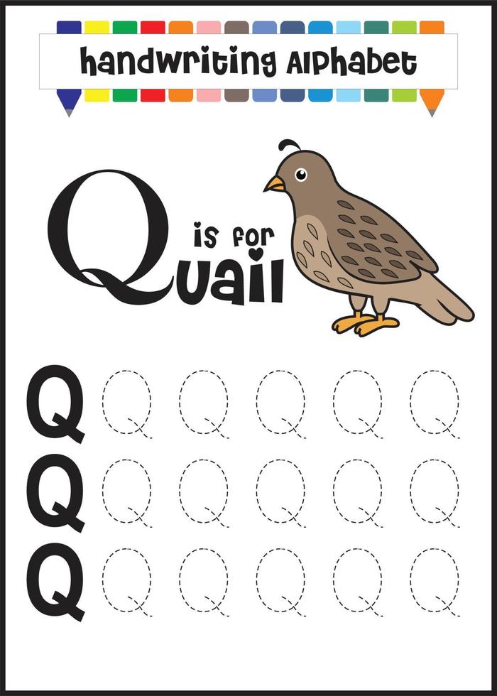 letter q is for Quail. learning trace letter Q vector