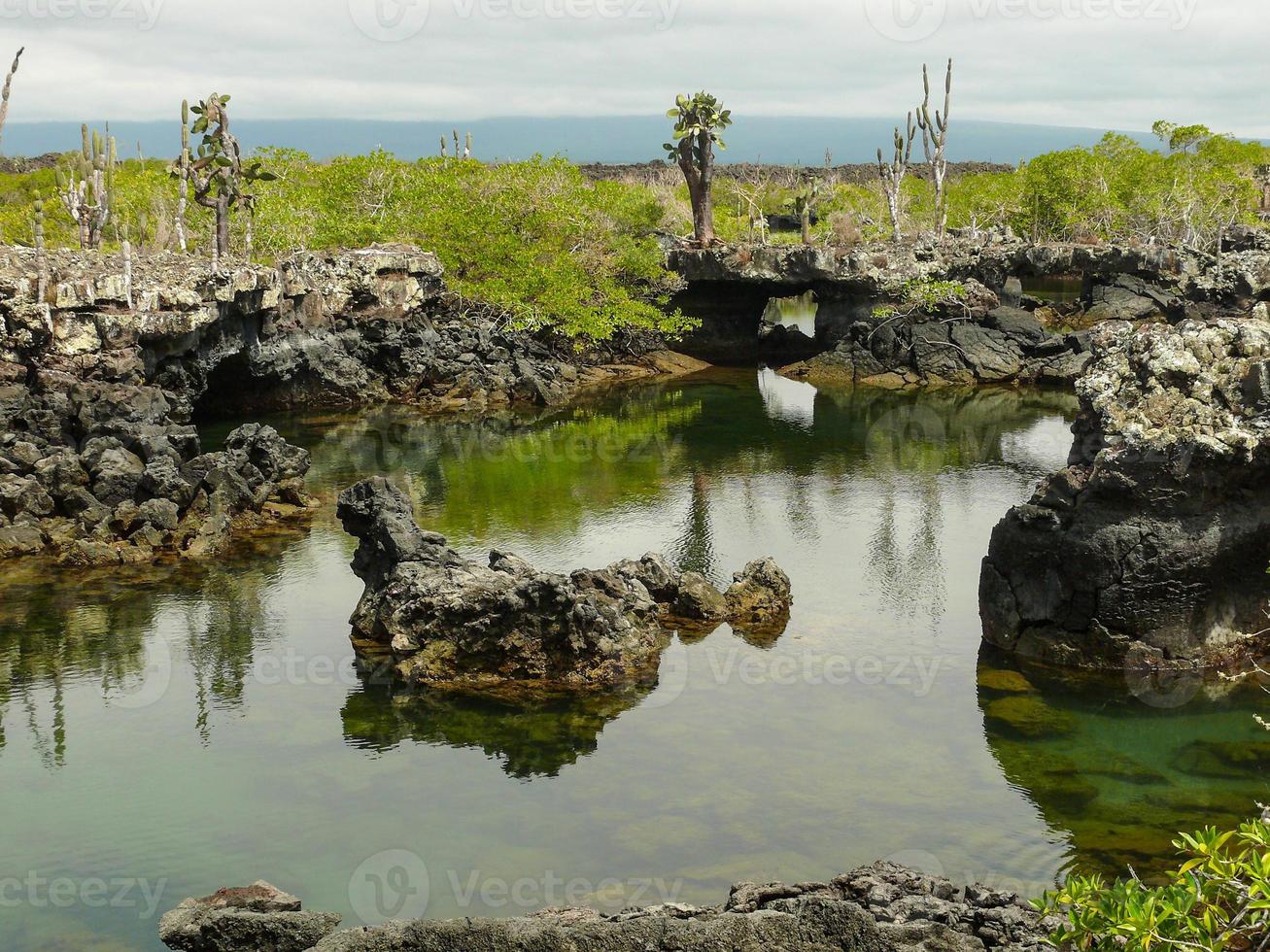 Lava Tunnels, Isabela Island, Galapagos photo