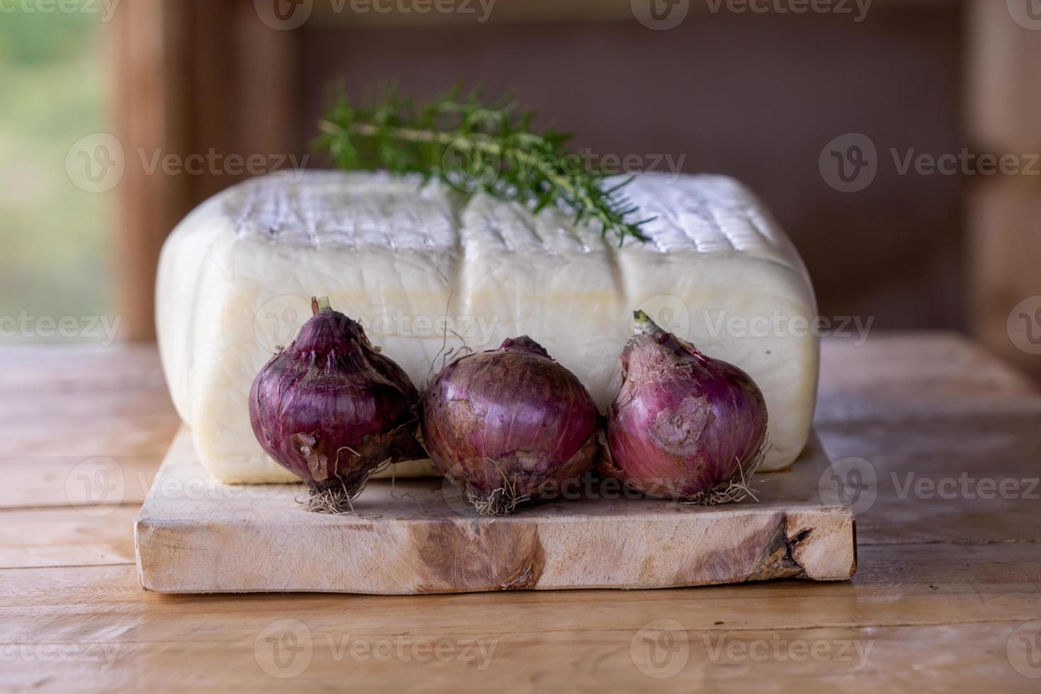 a large fresh cheese with herbs and onions photo