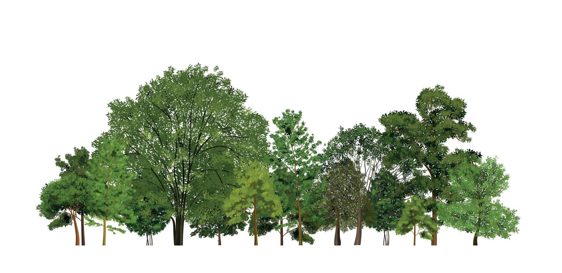 Realistic Forest Wood Composition vector