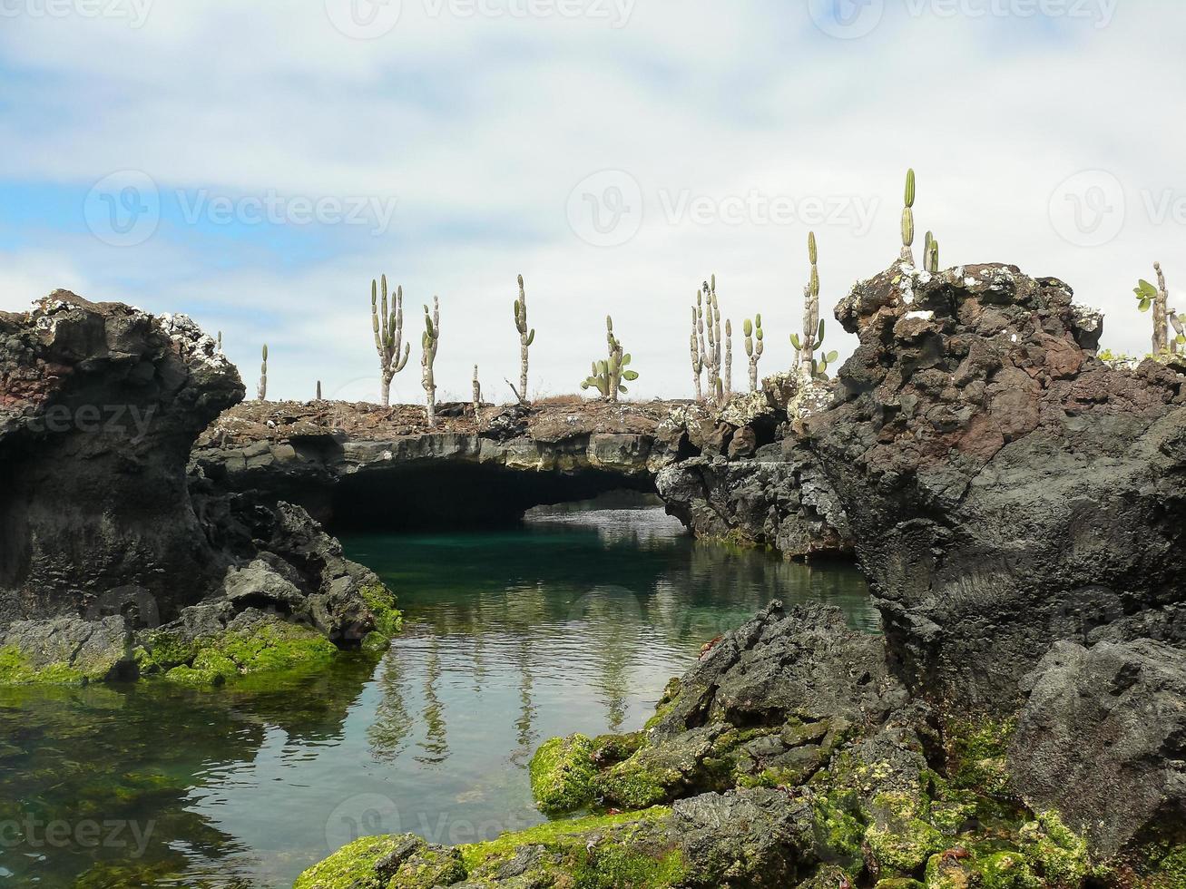 Lava Tunnels, Isabela Island, Galapagos photo