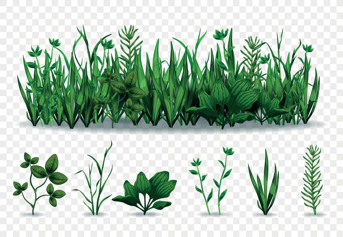 conjunto de hierba verde realista vector